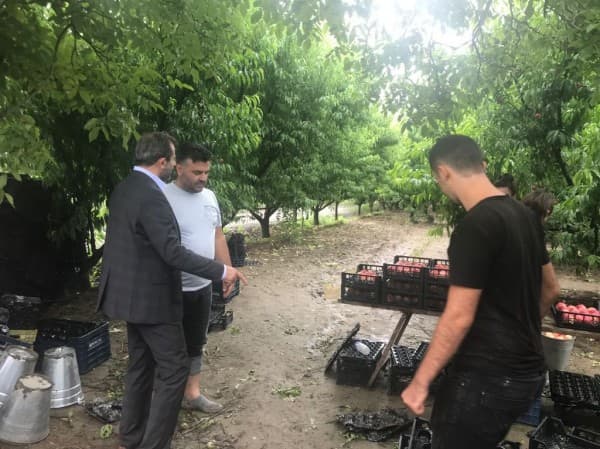 GÜRSU DA MEYVECİLİK fotoğraf 4