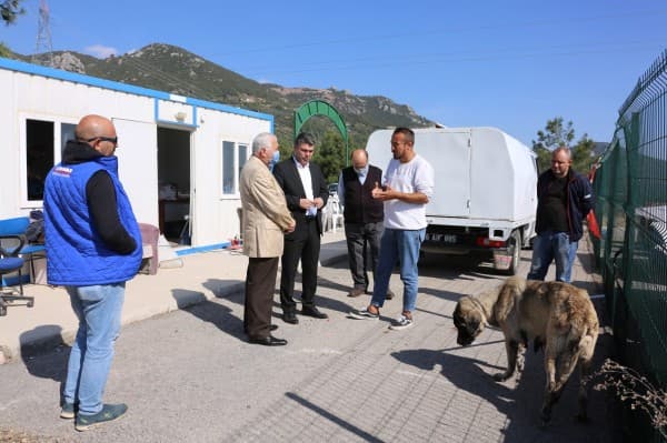 ENPATİ HAYVAN DOSTU KENT GÜRSU fotoğraf 2