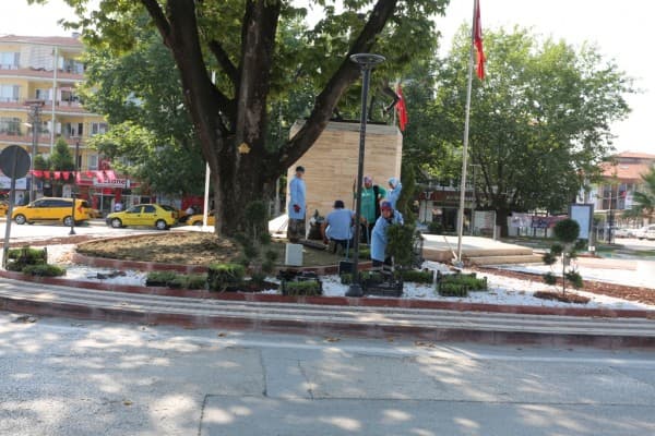 Gürsu Çiçek Açıyor fotoğraf 1