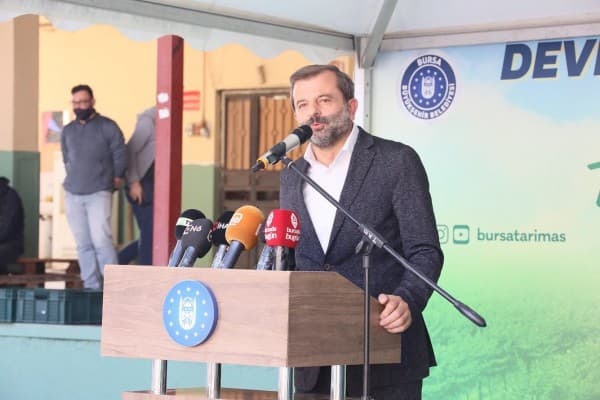 Deveci Armut Hasadı fotoğraf 1
