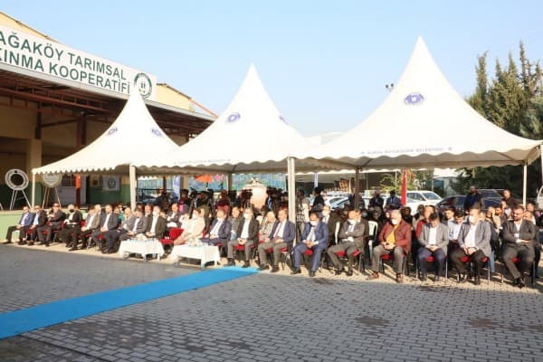 Deveci Armut Hasadı fotoğraf 5