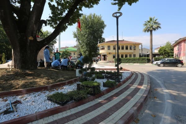 Gürsu Çiçek Açıyor fotoğraf 2
