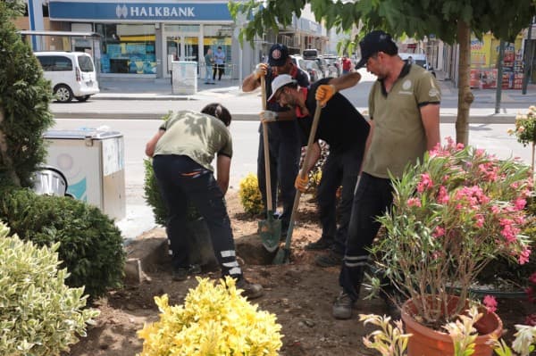 Gürsu’nun Caddelerine Rengarenk Çiçeklerle Yaz Coşkusu fotoğraf 1