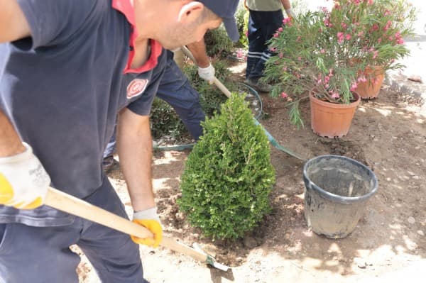 Gürsu’nun Caddelerine Rengarenk Çiçeklerle Yaz Coşkusu fotoğraf 3