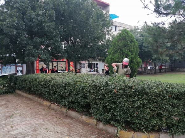 Gürsu’da Parklar Yeşilin Huzuruyla Taçlanıyor fotoğraf 3