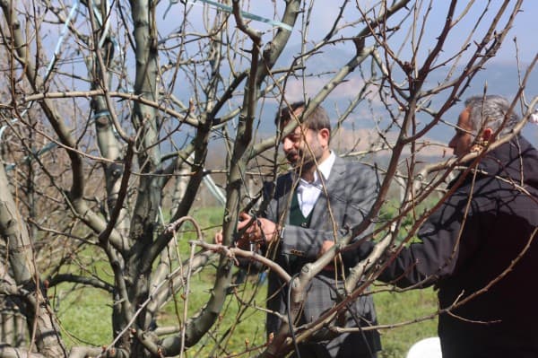GÜRSU BELEDİYESİ’NDEN TARIMA DESTEK fotoğraf 3