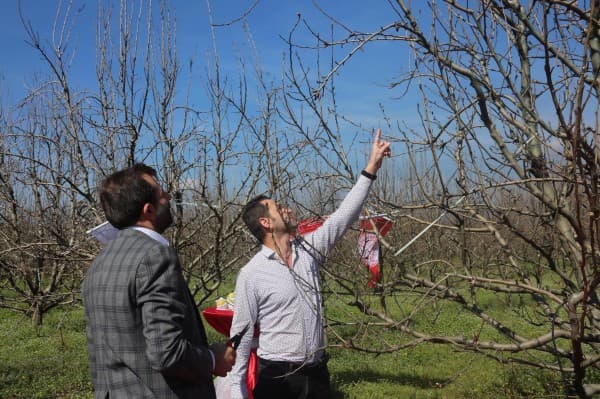 GÜRSU BELEDİYESİ’NDEN TARIMA DESTEK fotoğraf 12