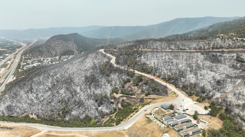 CİĞERLERİMİZ YANDI fotoğraf 7