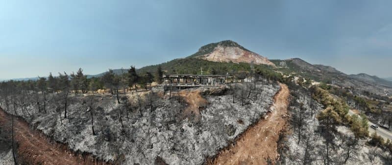 CİĞERLERİMİZ YANDI fotoğraf 5
