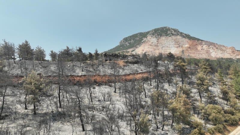 CİĞERLERİMİZ YANDI fotoğraf 1
