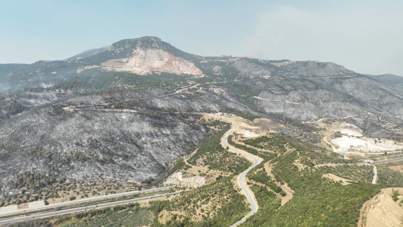 CİĞERLERİMİZ YANDI fotoğraf 9