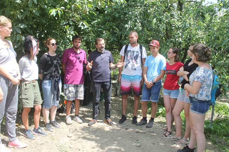 AVRUPALI ÖĞRENCİLER GÜRSU ARMUDUNU DALINDAN TOPLADI