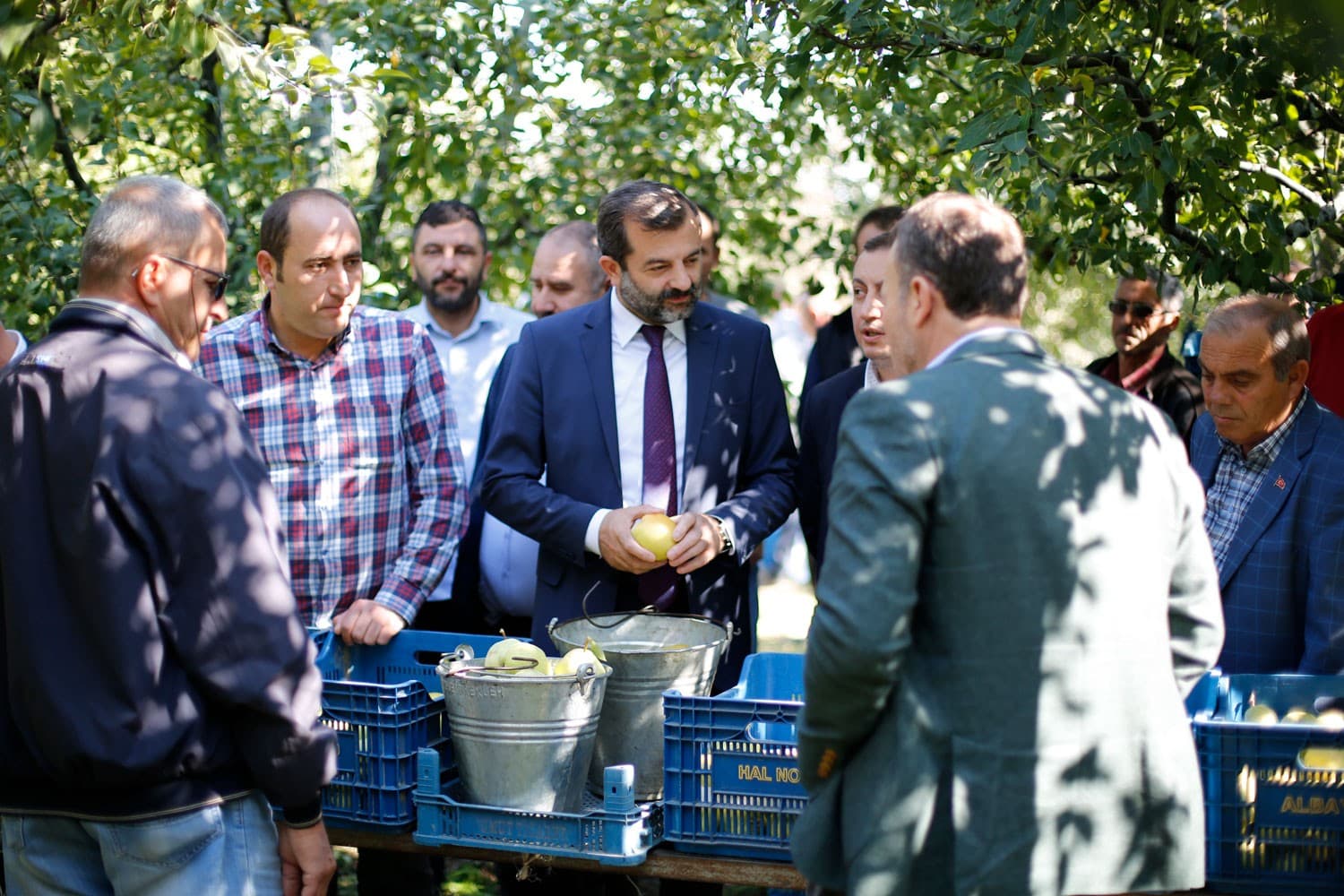 “BİZİM ELİMİZ ARMUT TOPLUYOR”