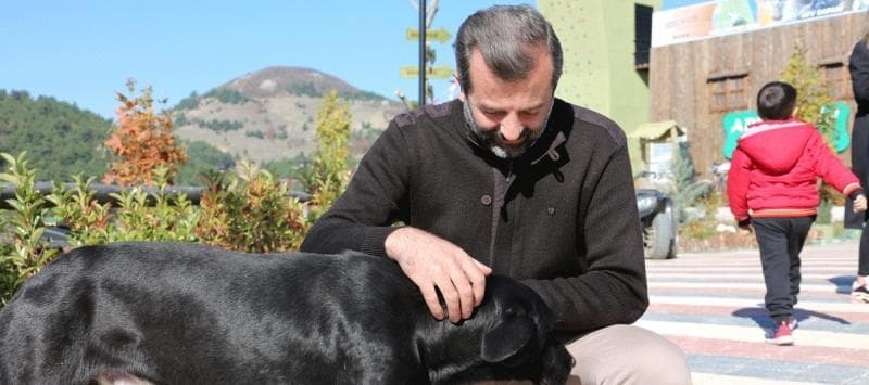 HAYVAN BARINAĞI