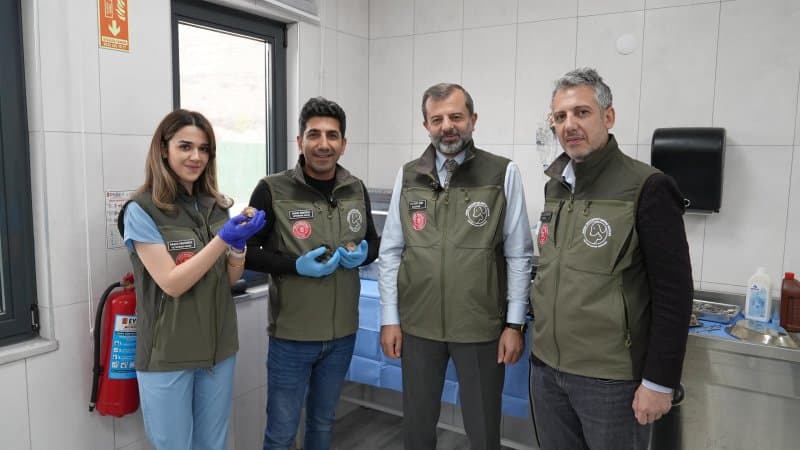 GÜRSU’NUN SÜT ANNE KEDİSİ SOSYAL MEDYAYI SALLADI