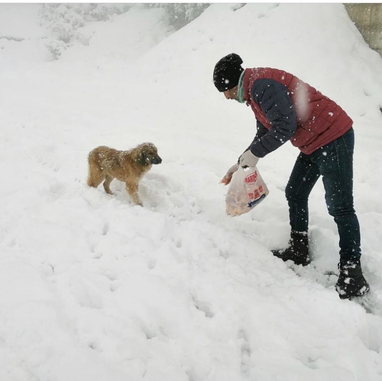 BAŞKAN MUSTAFA IŞIK, “DÜNYA, TÜM CANLILAR İYİ OLDUKÇA DAHA GÜZEL”