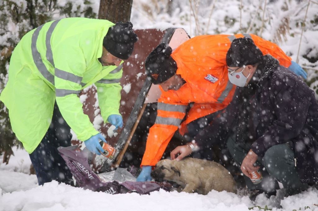 BAŞKAN MUSTAFA IŞIK, “SERT KIŞ KOŞULLARINDA CAN DOSTLARIMIZIN YANINDAYIZ”