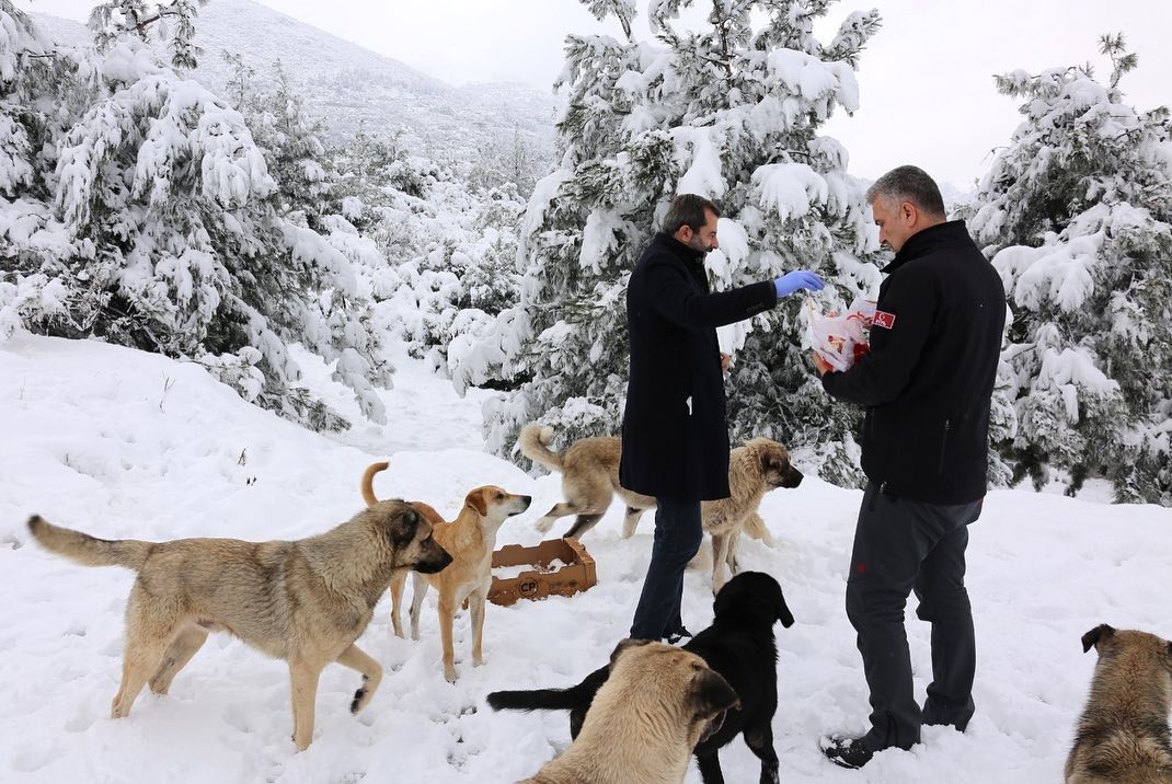 CAN DOSTLARIMIZI UNUTMAKDIK