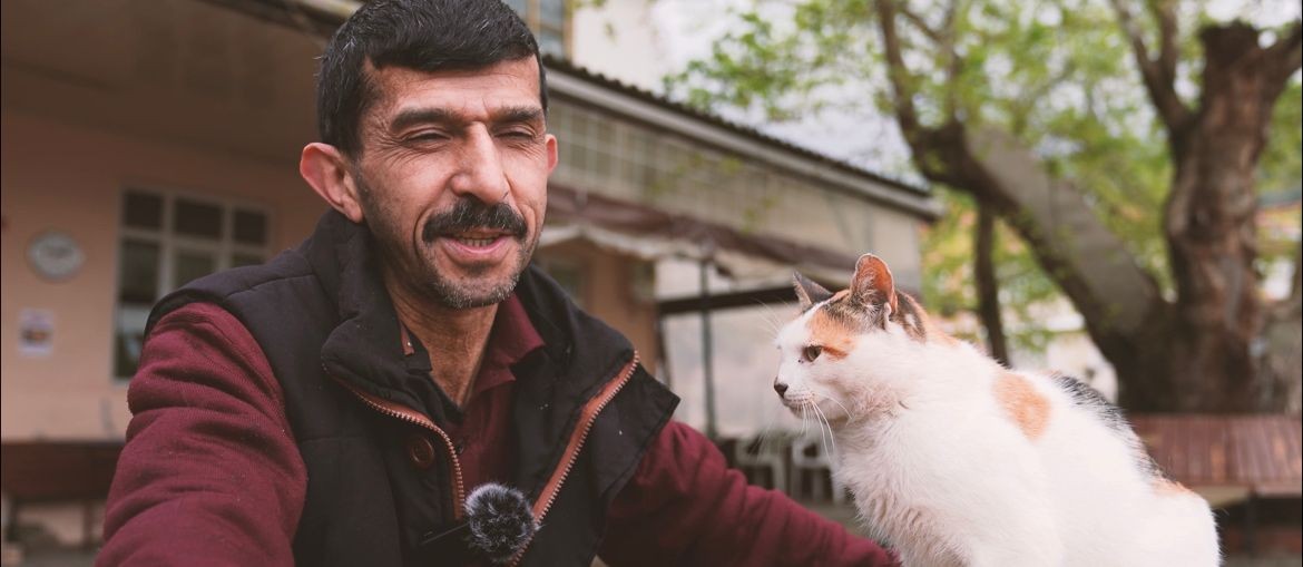Gürsu’nun Tatlı ve Sempatik Kedisi ’Karahıdır’