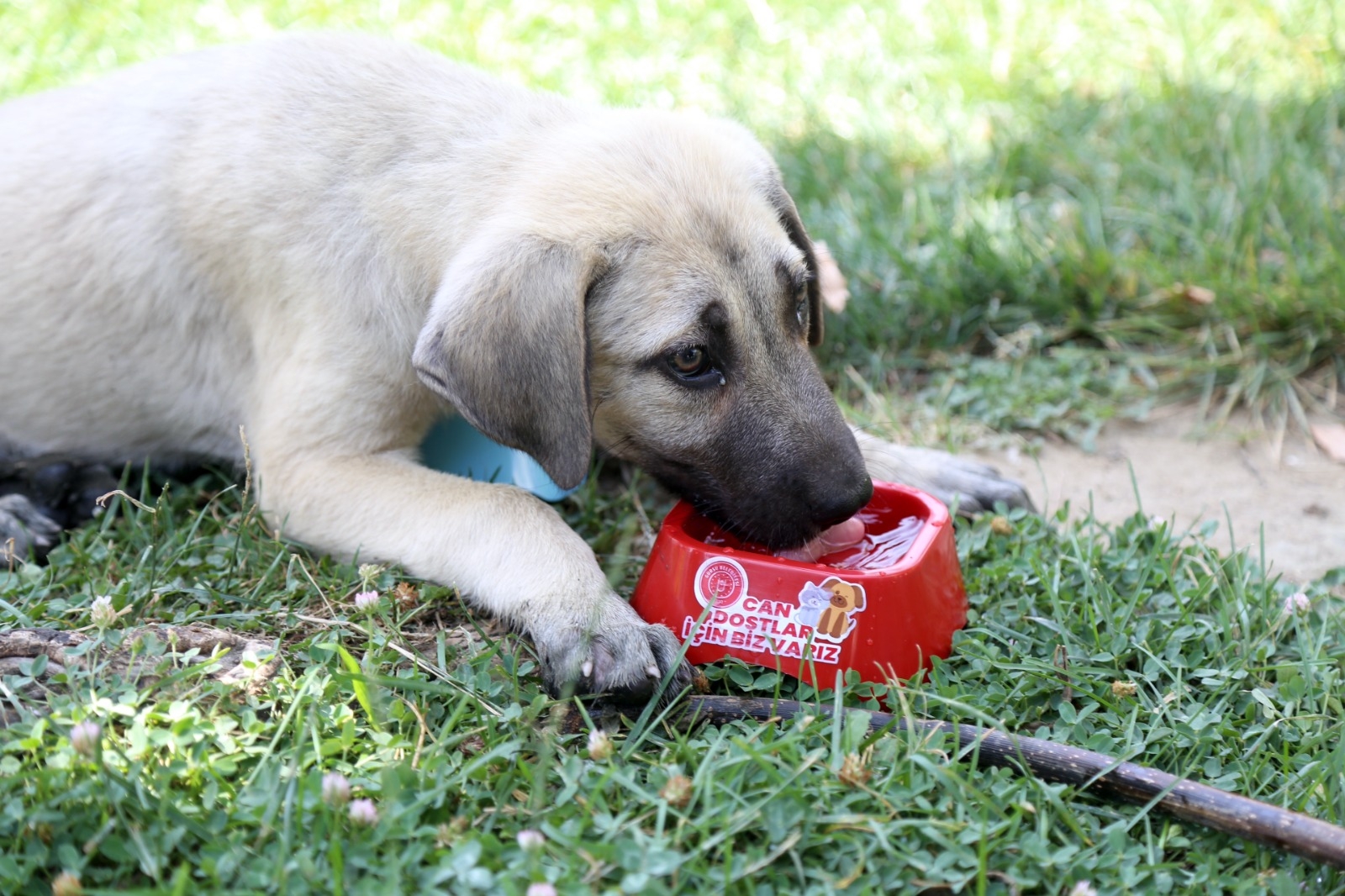 Gürsu’da Can Dostları Unutulmadı