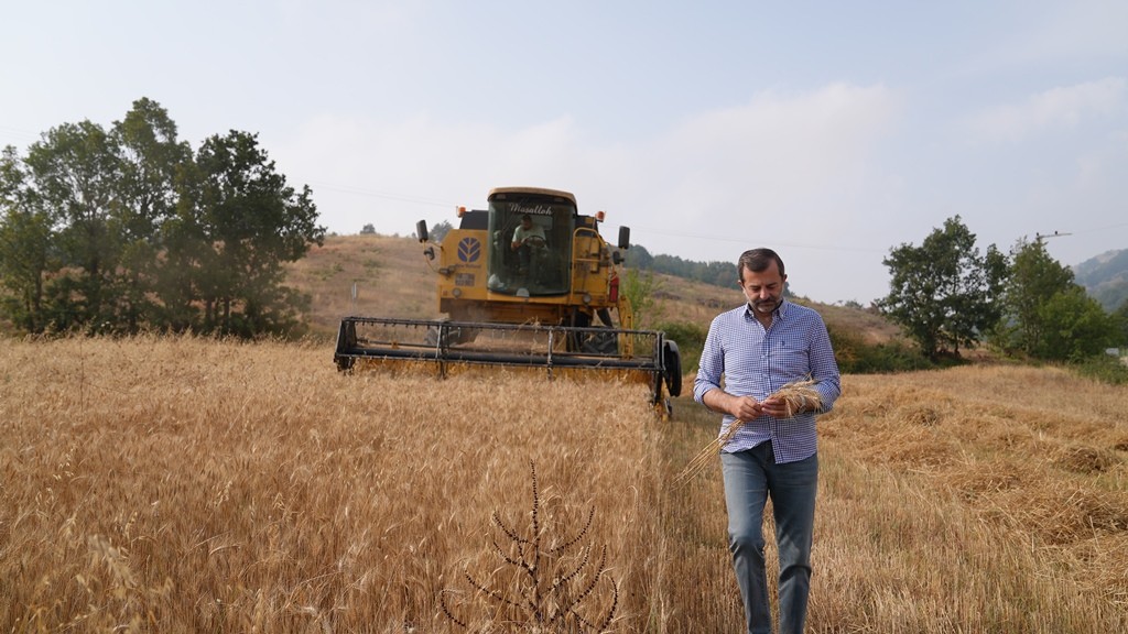Gürsu Belediyesi Unları Vatandaşın Sofrasına Ulaştıracak