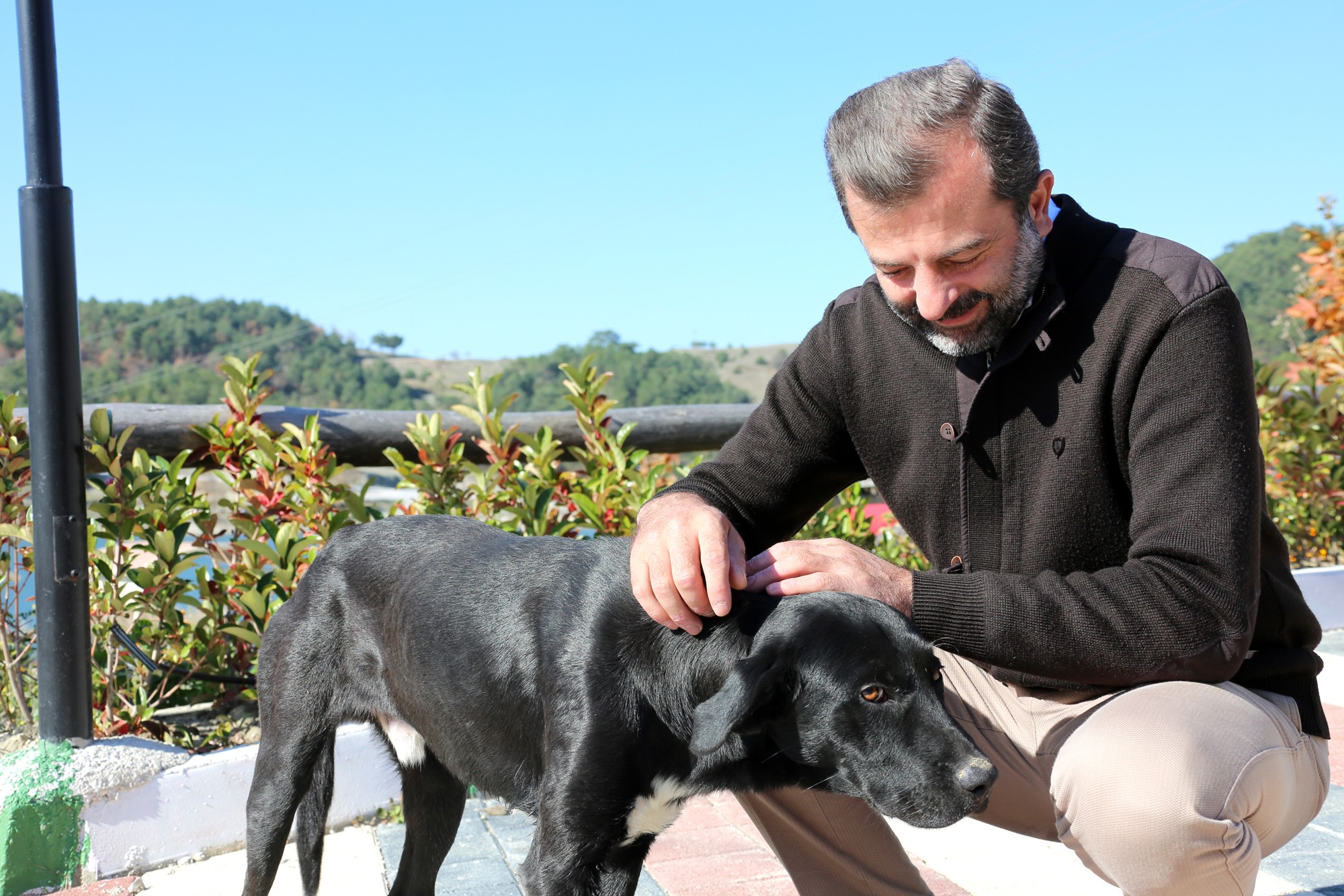 GÜRSU’DA SOKAK HAYVANLARI İÇİN EKMEK TOPLAMA KUTULARI OLUŞTURULDU