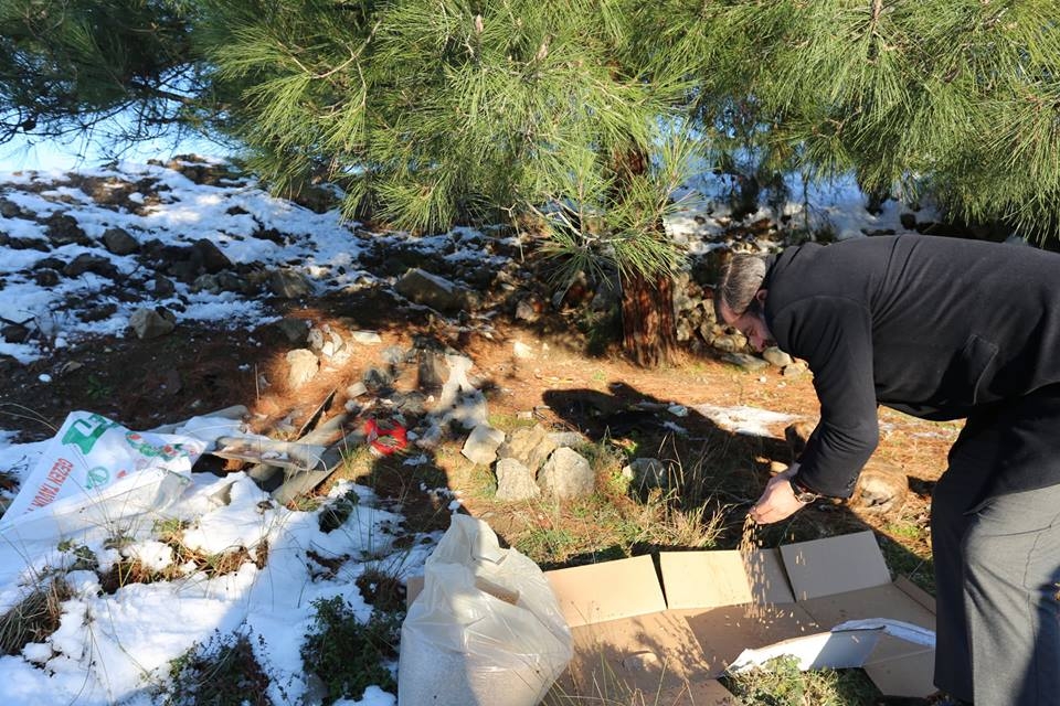 BAŞKAN MUSTAFA IŞIK, “SOKAK HAYVANLARININ YAŞAM İHTİYAÇLARINI KARŞILAMAK BİR İNSANLIK GÖREVİ”