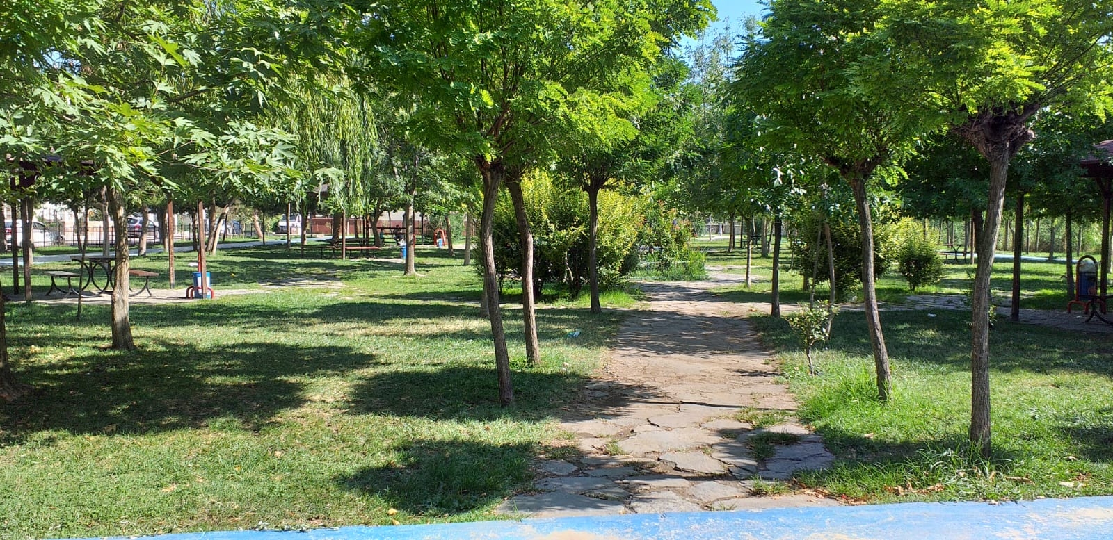 BAŞKAN MUSTAFA IŞIK : “ŞEHRİMİZDE YEŞİLİN HUZURUNU SAĞLAMAYA ÇALIŞIYORUZ”