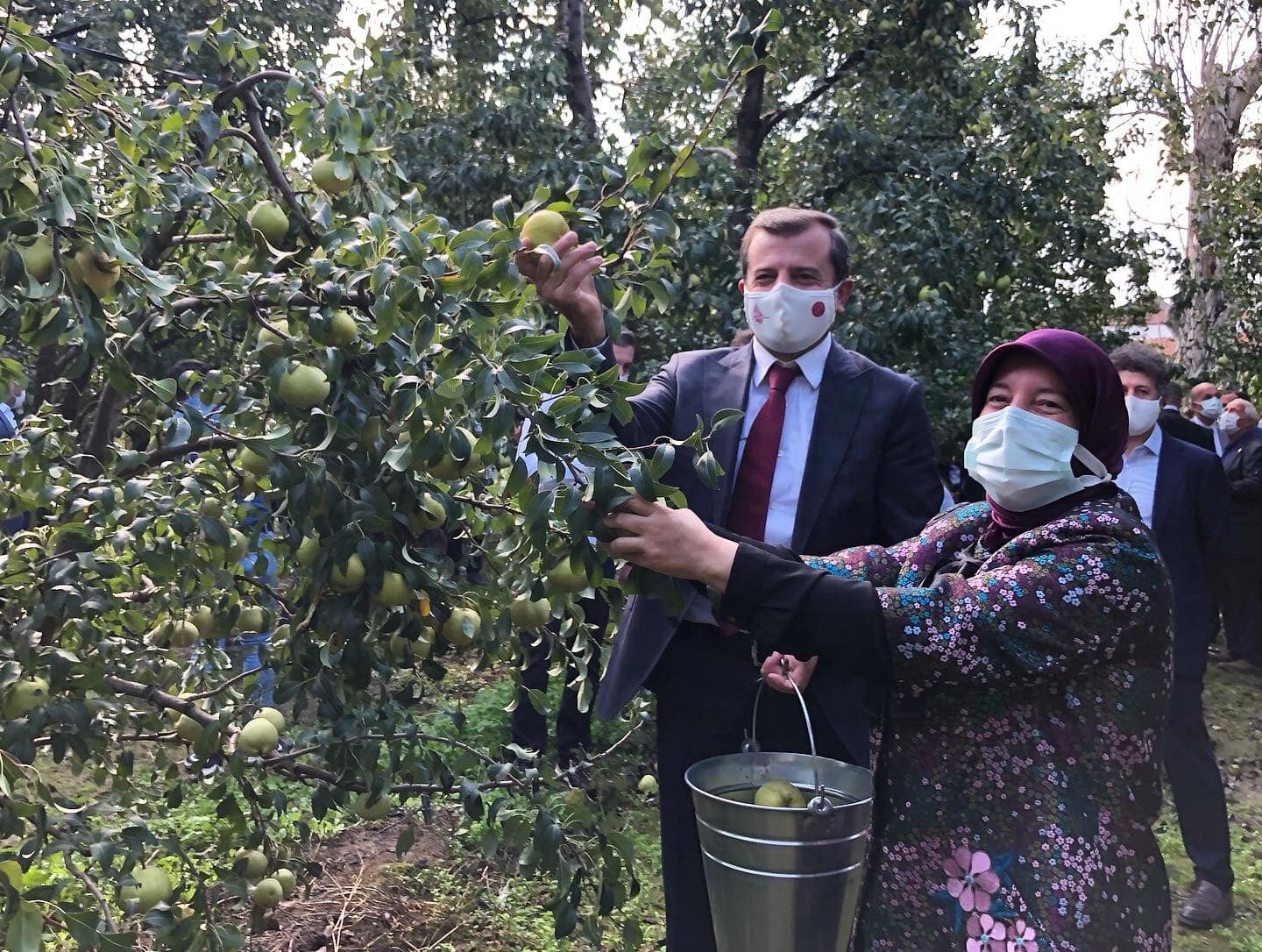 DEVECİ ARMUDUNUN HASAT BEREKETİ PAYLAŞILDI