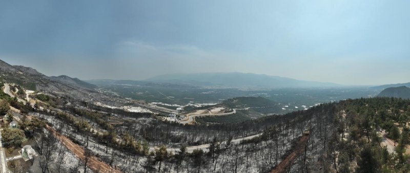 CİĞERLERİMİZ YANDI