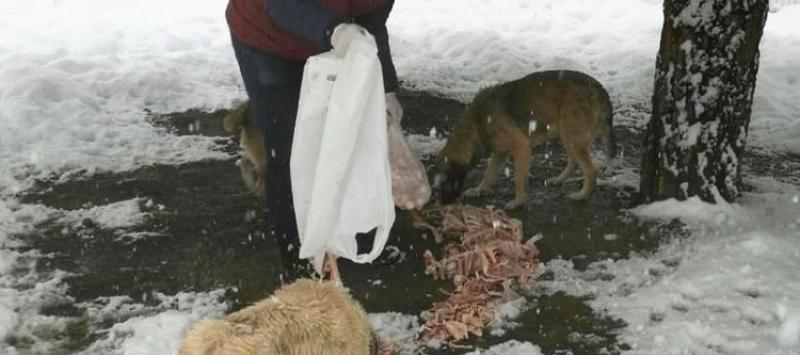 CAN DOSTLARA YEMEK DESTEĞİ