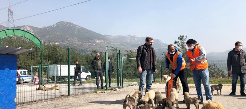 CAN DOSTLARIMIZA ZİYERET