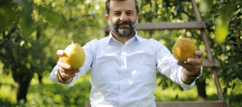 GÜRSU ARMUDU MARKALAŞIYOR