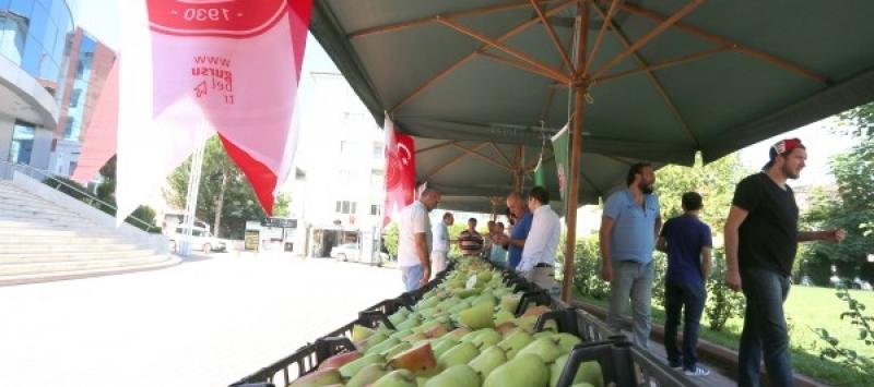 GÜRSU’DA ARMUT FESTİVALİ
