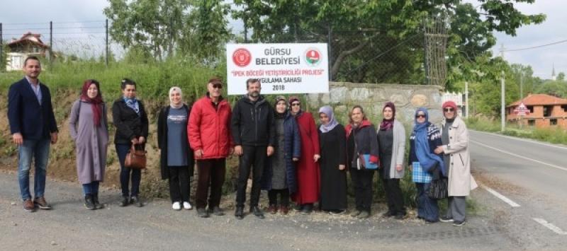 GÜRSU’DA  İPEK BÖCEĞİ YETİŞTİRİCİLİĞİ