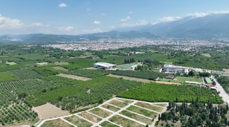 Gürsu Belediyesi Tarımsal Dönüşümün Öncüsü Oluyor