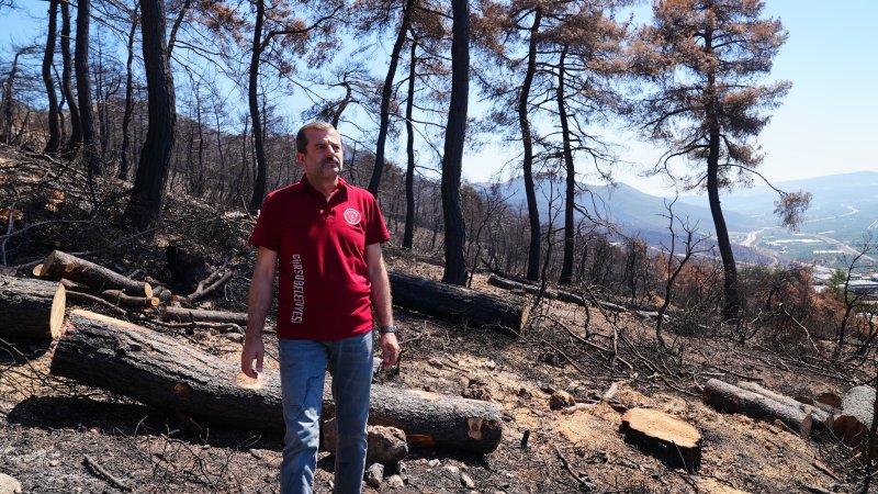 BAŞKAN IŞIK: GÜRSU’DA İLK FİDANLARI KARAHIDIR’DA DİKECEĞİZ