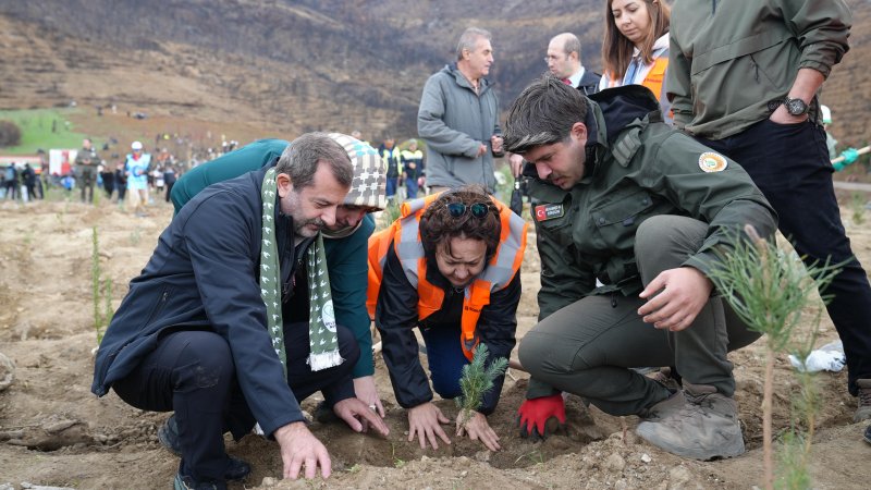 GÜRSU TEK YÜREK OLDU, BİNLERCE FİDANLA DOLDU