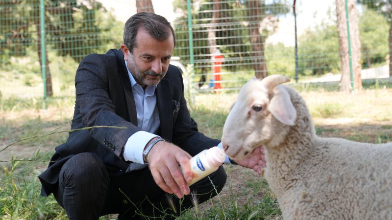 GÜRSU’YA  BUTİK HAYVANAT BAHÇESİ